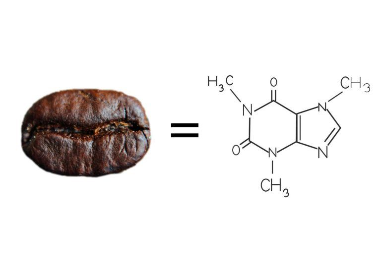 molecula-de-cafeina-pura-en-polvo-vs-grano-cafe