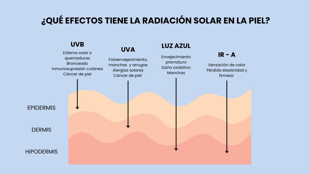 Descubre por qué es la cafeína te protege del sol 1 cafeina te protege del sol