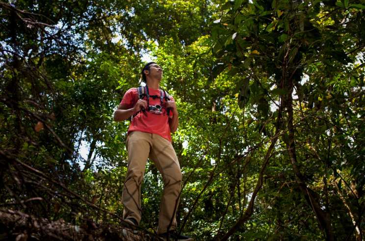 Guía de supervivencia de cafeína en polvo: cómo sobrevivir en la selva I 6 cómo sobrevivir en la selva